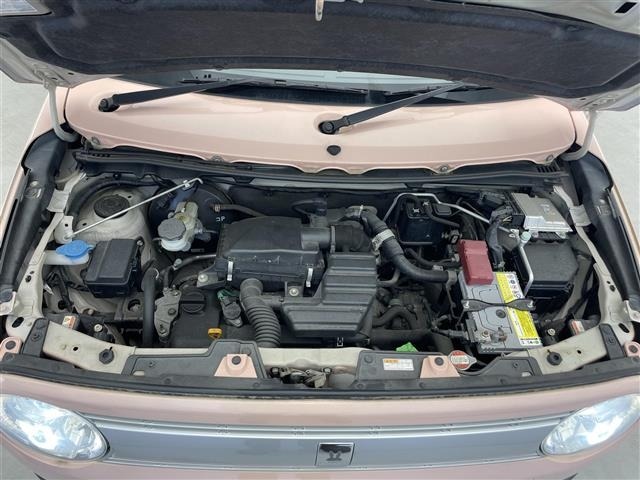 Suzuki LAPIN 2015 6989817-14