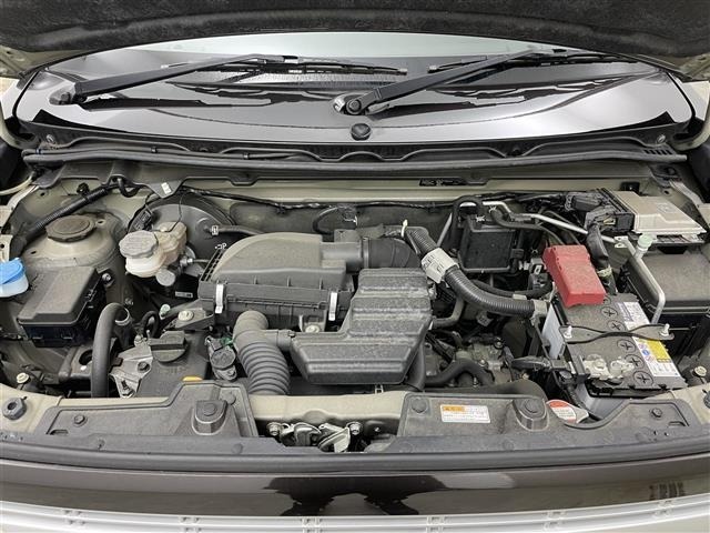 Suzuki LAPIN 2017 6989842-4