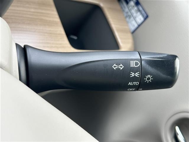Suzuki LAPIN 2015 6989861-8