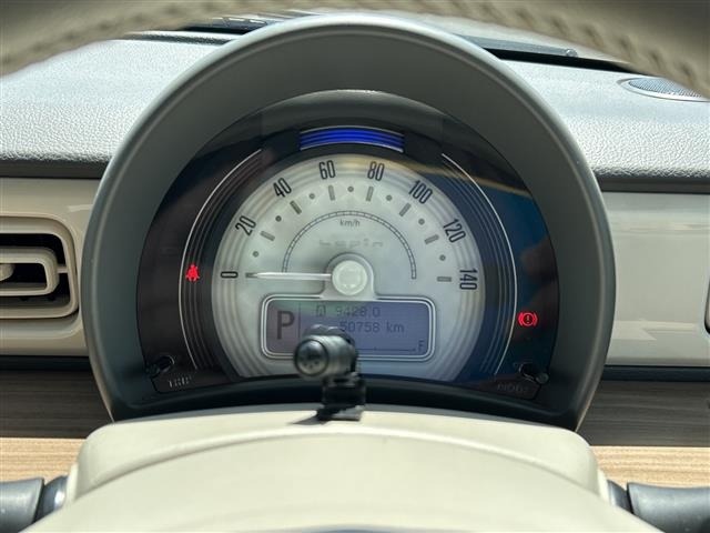 Suzuki LAPIN 2015 6989917-10