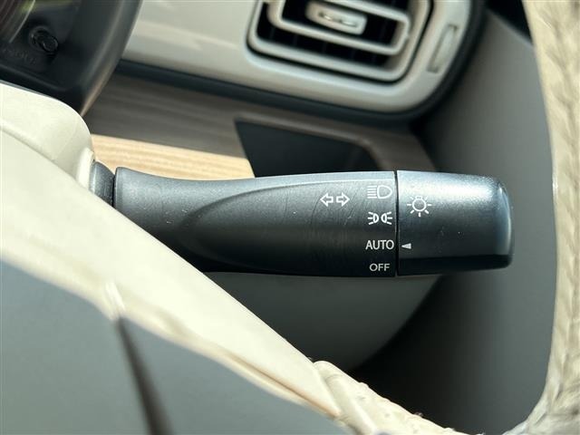 Suzuki LAPIN 2015 6989917-3