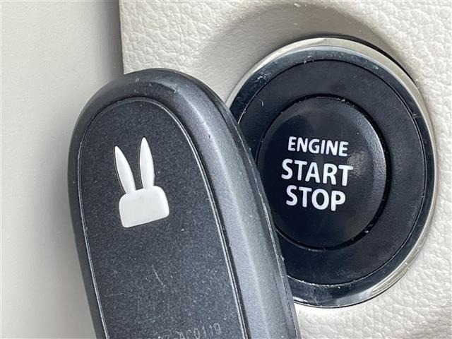 Suzuki LAPIN 2017 6989947-7