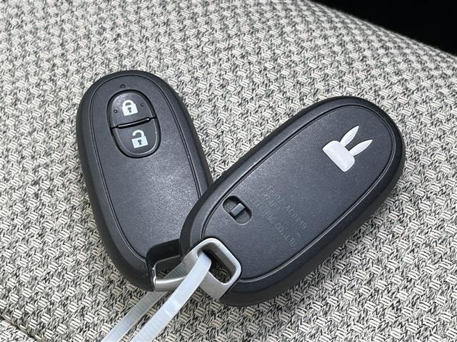 Suzuki LAPIN 2017 6990075-11