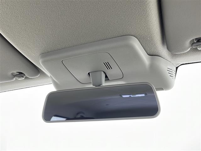 Suzuki LAPIN 2022 6990099-10