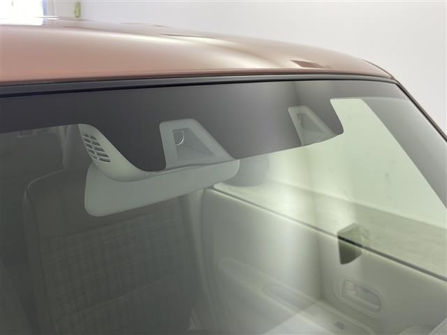 Suzuki LAPIN 2022 6990099-18