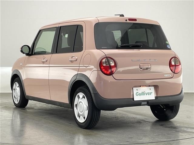 Suzuki LAPIN 2016 6990202-22