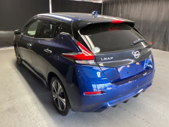 Nissan LEAF 2021 6982833-1