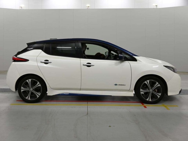 Nissan LEAF 2019 6982915-3