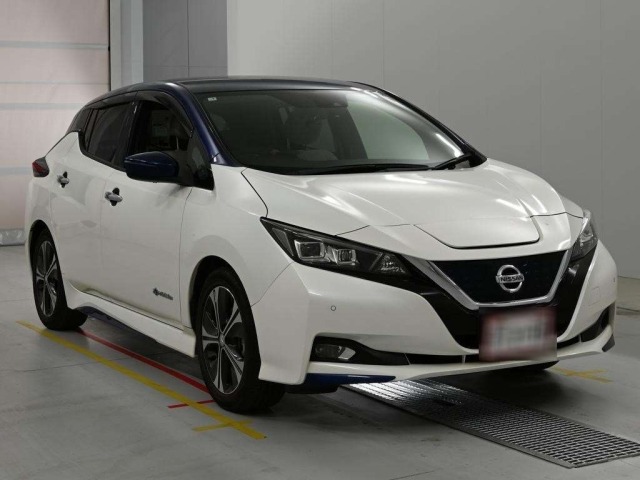 Nissan LEAF 2019 6982915-5