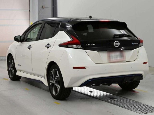 Nissan LEAF 2019 6982915-6