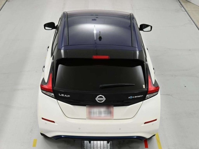 Nissan LEAF 2019 6982915-8