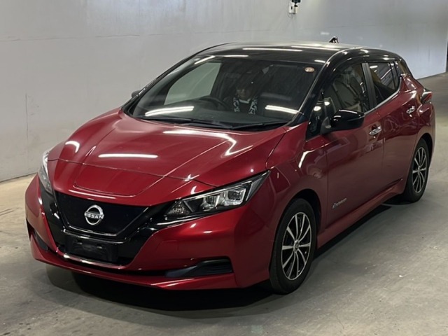 Nissan LEAF 2021 6982999-0