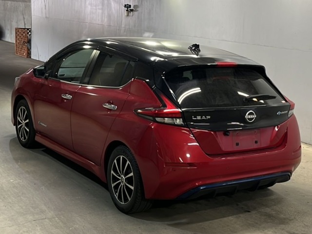 Nissan LEAF 2021 6982999-1