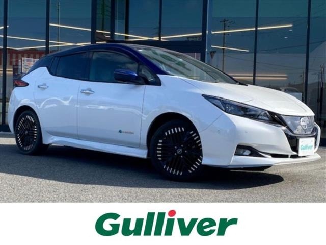 Nissan LEAF 2022 6983035-0