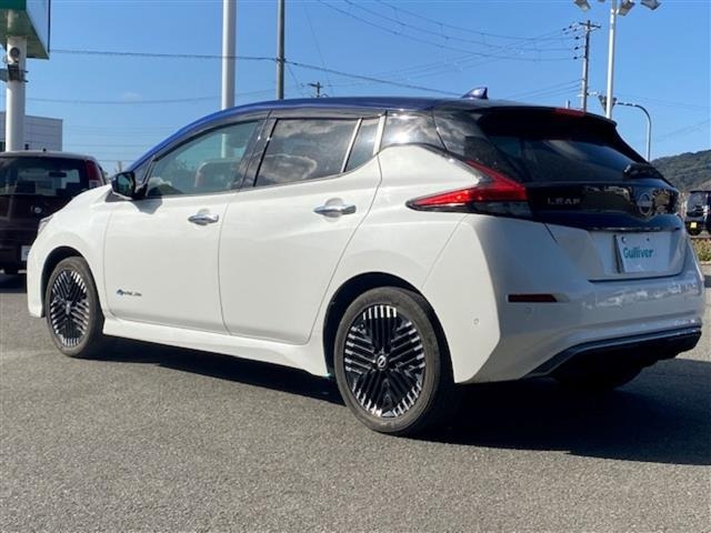 Nissan LEAF 2022 6983035-13