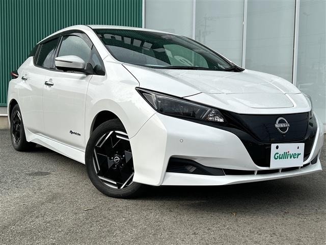 Nissan LEAF 2023 6983134-0