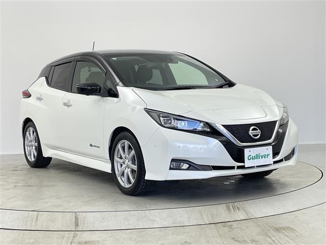 Nissan LEAF 2019 6983178-0