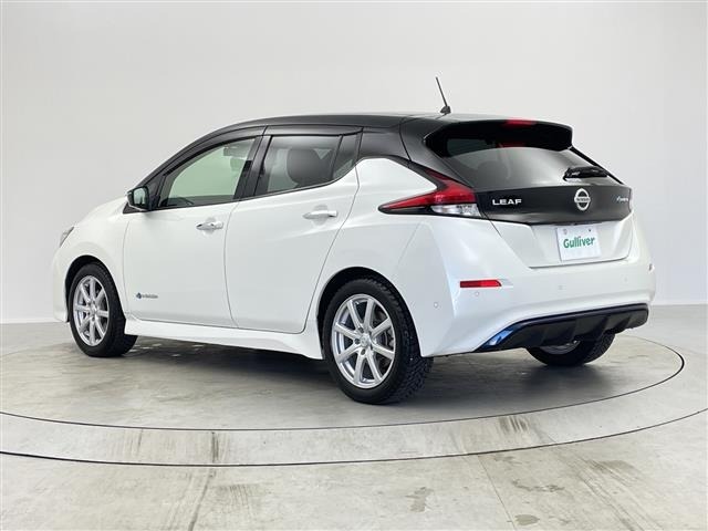 Nissan LEAF 2019 6983178-2