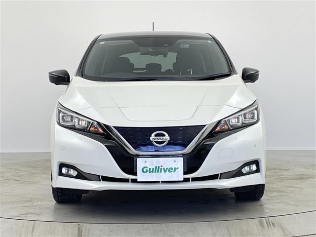Nissan LEAF 2019 6983178-20