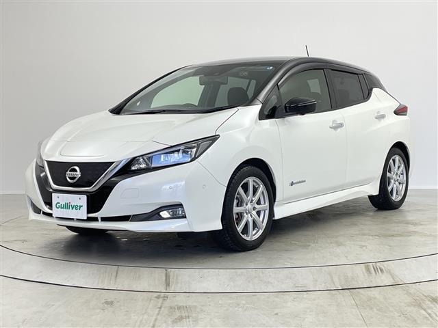 Nissan LEAF 2019 6983178-22