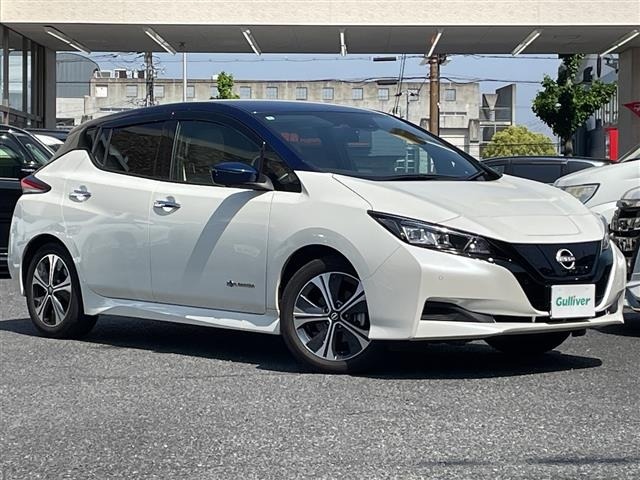 Nissan LEAF 2024 6983207-0