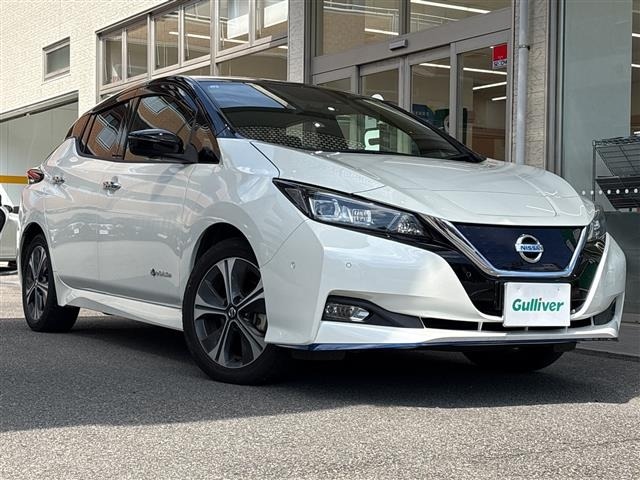 Nissan LEAF 2019 6983233-0