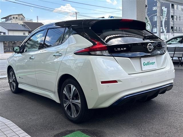 Nissan LEAF 2019 6983233-13