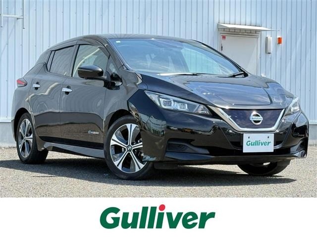 Nissan LEAF 2021 6983263-0