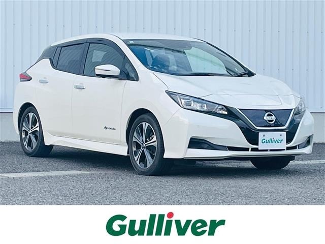 Nissan LEAF 2021 6983268-0