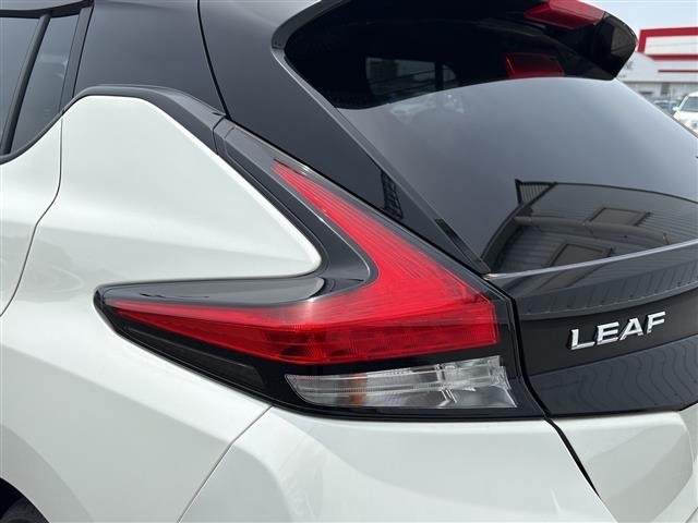 Nissan LEAF 2021 6983268-6