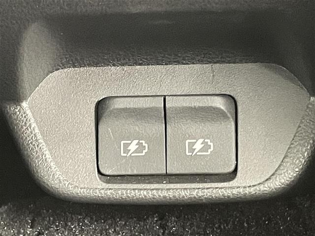Nissan LEAF 2021 6983288-9