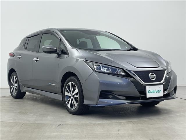 Nissan LEAF 2019 6983289-0
