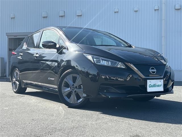 Nissan LEAF 2021 6983351-0