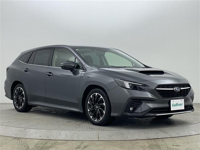 Subaru LEVORG 2020 6976201-0
