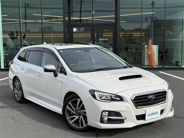 Subaru LEVORG 2016 6976342-19