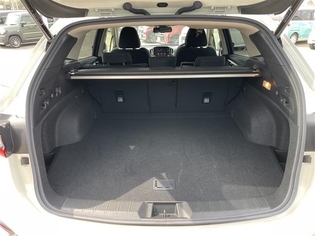 Subaru LEVORG 2021 6976422-8