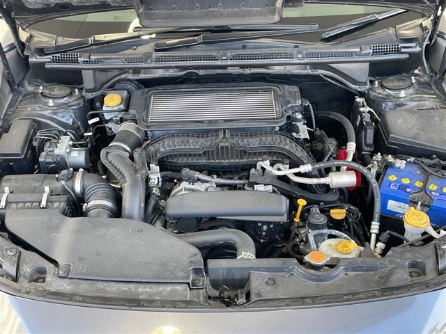 Subaru LEVORG 2021 6976565-14