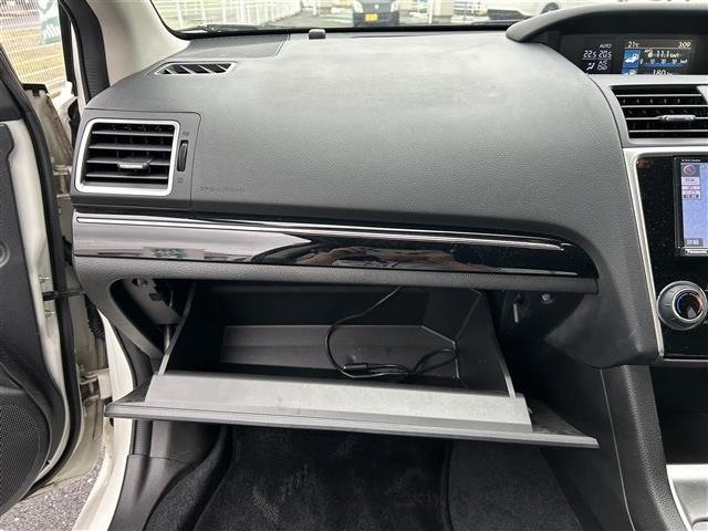 Subaru LEVORG 2014 6976906-9