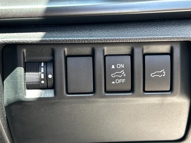 Subaru LEVORG 2021 6976927-20