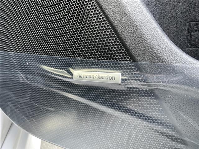 Subaru LEVORG 2024 6976964-15