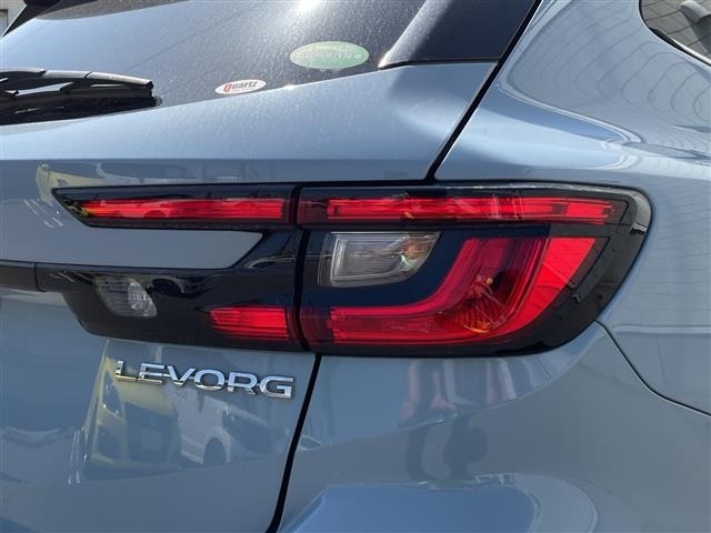 Subaru LEVORG 2021 6977004-20