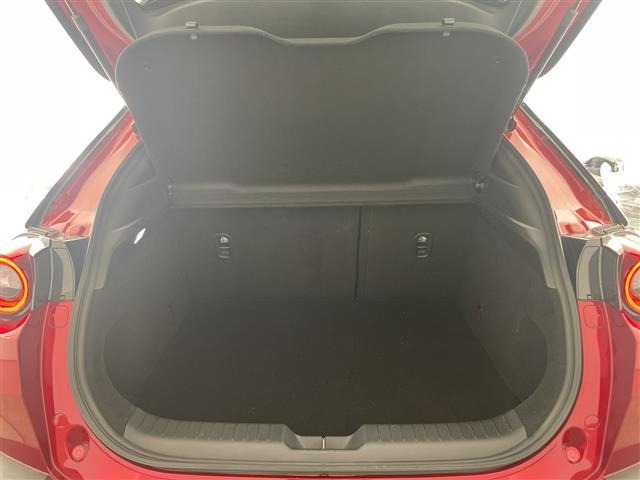 Mazda MX-30 2023 6993563-10