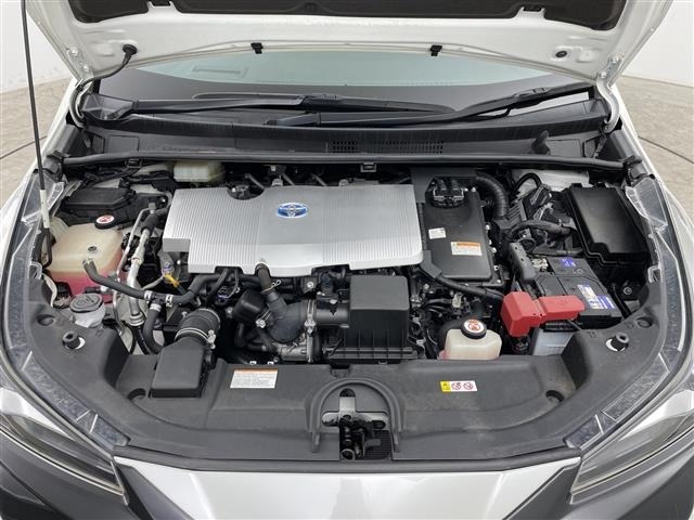Toyota PRIUS 2019 6974944-14