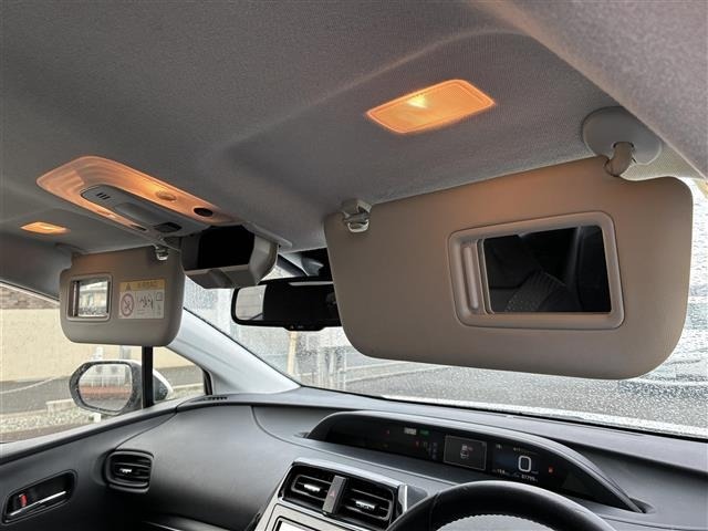 Toyota PRIUS 2019 6975119-12