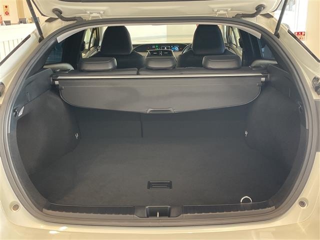 Toyota PRIUS 2019 6975360-21