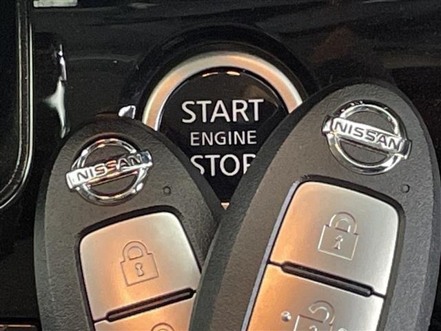 Nissan SERENA 2020 6980956-9