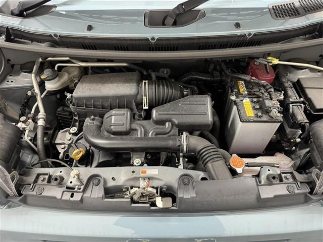 Daihatsu TAFT 2021 6998377-4