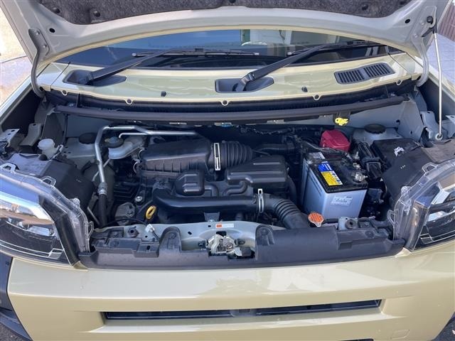Daihatsu TAFT 2021 6998470-14