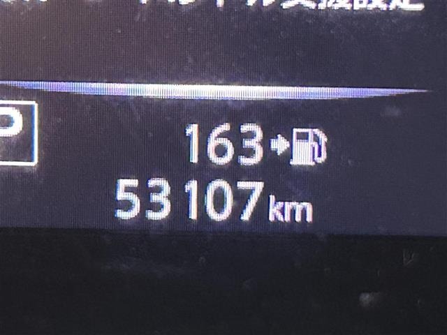 Nissan X-TRAIL 2018 6974919-5