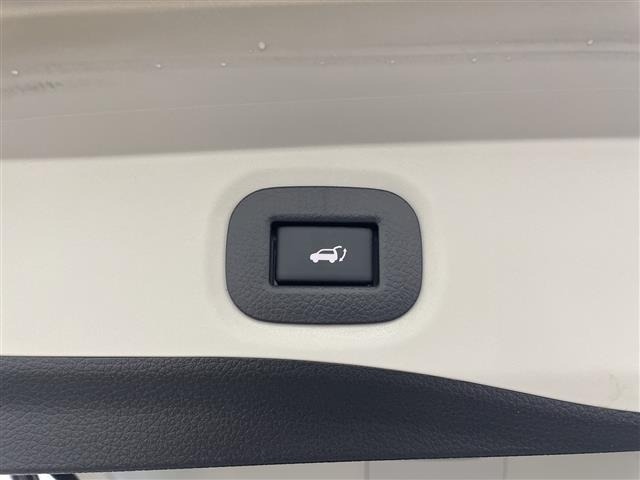 Nissan X-TRAIL 2020 6975218-1